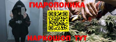 индика Гай