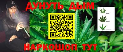индика Гай