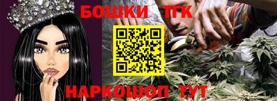 индика Гай